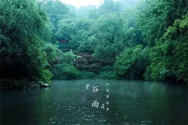 從都莊園--溪山散步，谷雨聽茶