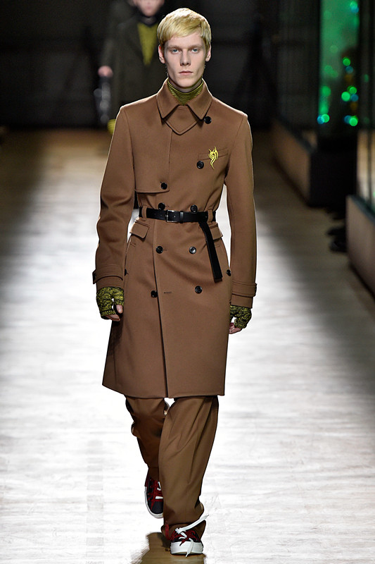 dioustein迪奥狮丹