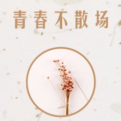 青春不散場(chǎng)