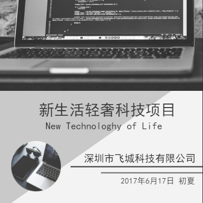 boss-項目招商預案